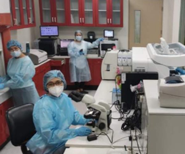 lab lab